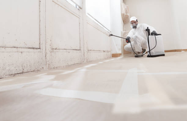 24/7 Emergency Commercial Mold Remediation experts in Hooversville, PA