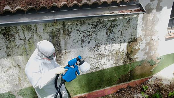 Top rated local Commercial Mold Remediation specialists in Hooversville, PA